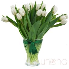 Tender Tulips Bouquet (Regular)